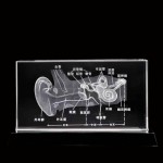 Acupuncture Needles Factory - 0.35x55mm Special for Rhinitis Treatment