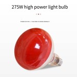 Red Light Therapy Supplier - Deep Penetration for Shoulder Pain Blood Circulation