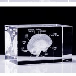 Acupuncture Needles Supplier - 0.35x40mm Silver Handle Disposable Sterile