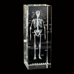 Human Brain Model Factory - Crystal Anatomical 5x5x8cm for Medical Education