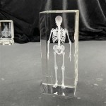 Human Brain Model Factory - Crystal Anatomical 5x5x8cm for Medical Education