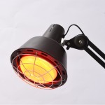 Infrared Baking Lamp Manufacturer - Far Infrared Single Head Beauty Instrument