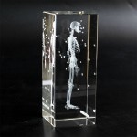 Human Brain Model Factory - Crystal Anatomical 5x5x8cm for Medical Education