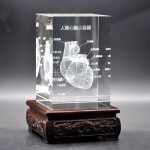 Human Ear Model Manufacturer - Crystal Anatomical 5x5x8cm Teaching Model