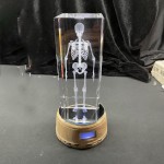 Human Brain Model Factory - Crystal Anatomical 5x5x8cm for Medical Education