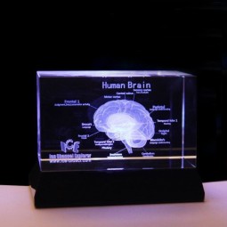 Acupuncture Needles Supplier - 0.35x40mm Silver Handle Disposable Sterile