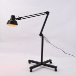 Infrared Baking Lamp Manufacturer - Far Infrared Single Head Beauty Instrument