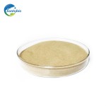 Plant Growth Promoting Bacillus Subtilis Powder for Low Price