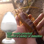 Garlic Powder Allicin 15% with Cheaper Price