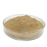 2024 High Quality Low Price Probiotics Photosynthetic Bacteria for Aquaculture Animals