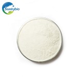 Feed Grade Lactobacillus Plantarum  for Animal Health