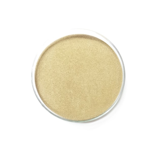 Plant Growth Promoting Bacillus Subtilis Powder for Low Price