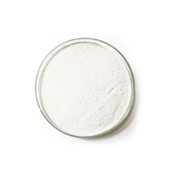 China Factory Bacillus Coagulans Feed with Probiotics