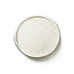 Microorganism Fertilizer Probiotics Bacillus Megaterium