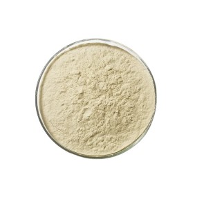 2025 Hot Sales Feed Grade Clostridium Butyricum Probiotics in Animal Feed