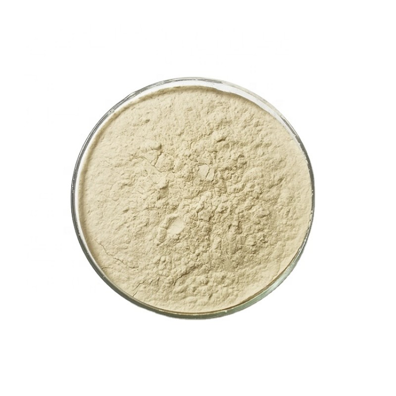 2025 Hot Sales Feed Grade Clostridium Butyricum Probiotics in Animal Feed