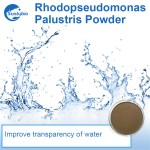 Aquaculture Photosynthetic Bacteria for Power