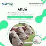 Animal Nutrition Feed Grade Allicin powder 25% for poultry food