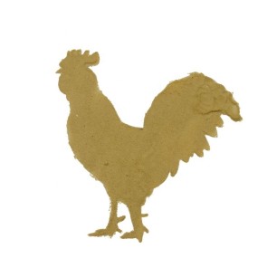 Inactive Dry Brewers Yeast Powder for Animal Feed,Food and Feed Grade Brewer Yeast Powder