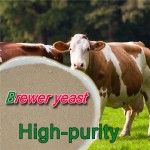 Animal Feed Brewers Yeast Fish Growth Booster