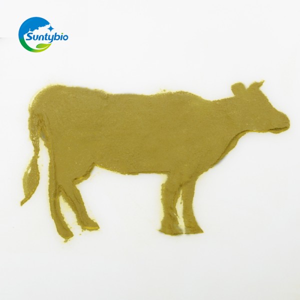 2024 Hot Sales Feed Grade Molasses Yeast for Animal