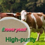 Brewers Yeast Extract / Supplement ,Beer Yeast Powder