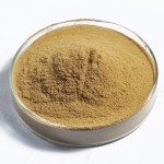 Top Sale 100% Pure Brewers Yeast for Animal Feed