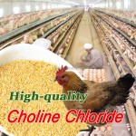 choline chloride manufacturing process