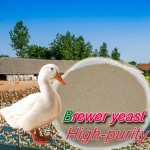 2024China Suppliers Brewer Yeast Saccharomyces Cerevisiae with Free Sample