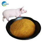 High-Quality Hot Sale Non-Gmo Feed Grade Corn Protein Meal / Zein / Corn Gluten