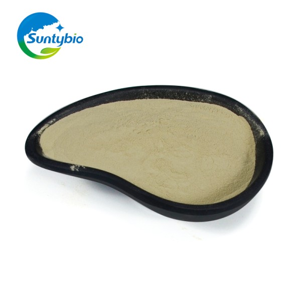 Natural Feed Additive Fish Growth Booster Bacillus Subtilis for Agriculture