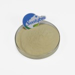Natural Feed Additive Fish Growth Booster Bacillus Subtilis for Agriculture