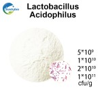 Wholesale Price Probiotics Lactobacillus Acidophilus Powder