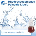 Feed Aquaculture Photosynthetic Bacteria for Liquid