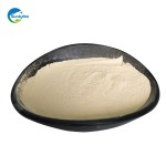 Bacillus Subtilis Probiotic High Concentration 100/200/500billion Cfu/g