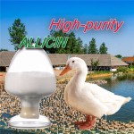 Garlic Powder Allicin 15% with Cheaper Price