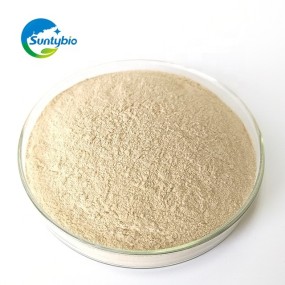 Raw Material Feed Additive Torula Yeast Powder With 45% Protein