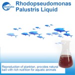 Feed Aquaculture Photosynthetic Bacteria for Liquid