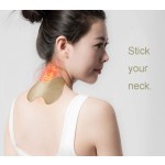 Joint Pain Relief Plaster Factory - Free Sample OEM Service Tiger Balm High Effective