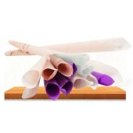 Hopi Ear Candles Manufacturer - Free Sample Offered Ear Cleaner for Sale