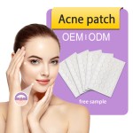 Invisible Spot Patches Factory - OEM Covering Zits Acne Healing Microneedle