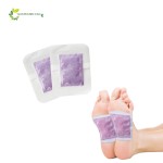 Back Pain Plaster Factory - Improve Microcirculation Chinese Medical Transdermal