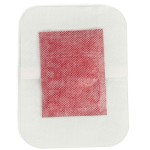 Ginger Foot Pads Supplier - Hot Selling OEM ODM Relax Health Natural Plant