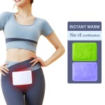 Body Warm Patch Manufacturer - Factory Price Hot Pack Back Warm Winter Supplies