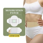 Muscle Pain Relief Patch Supplier - Wormwood Plaster Hot Selling Chinese Herb