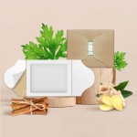 Breast Lift Patch Supplier - Private Label Natural Herbal Breast Enhancement