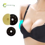 Kidney Health Patches Manufacturer - Chinese Nourishing Herbal for Men's Health