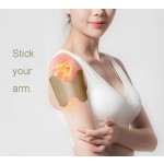 Joint Pain Relief Plaster Factory - Free Sample OEM Service Tiger Balm High Effective