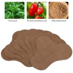 Detox Foot Pads Supplier - New Arrival Cleansing Detox Relax Patch