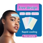 Fever Cooling Patch Manufacturer - CE ISO Free Sample Certification New Product